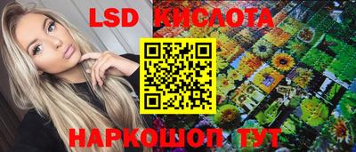 гашик Дубна