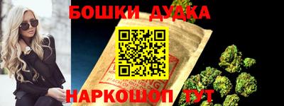 гашик Дубна