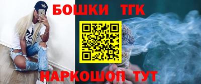 гашик Дубна