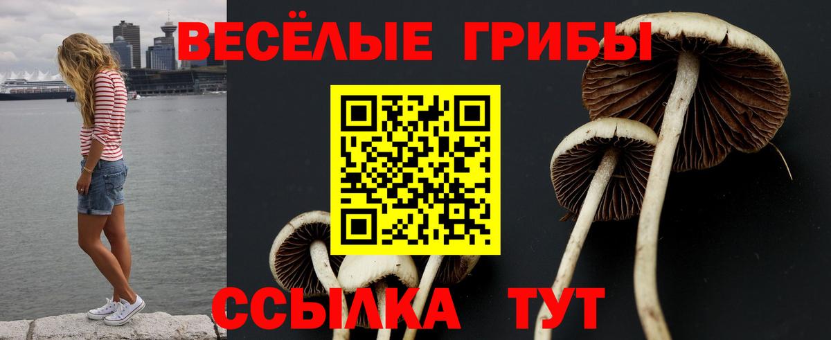 Псилоцибиновые грибы мухоморы Лабинск