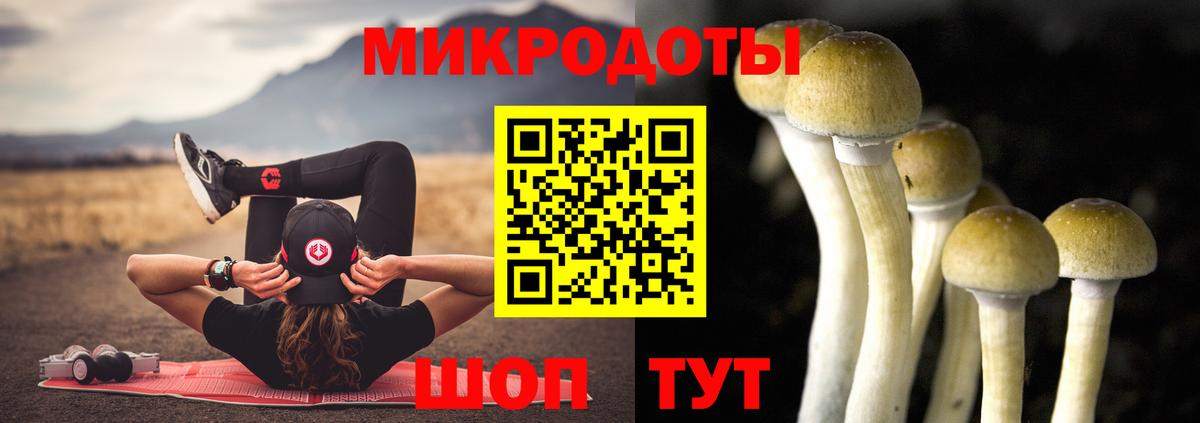 купить  цена  Псилоцибиновые грибы мицелий  Вход с VPN  Лабинск 
